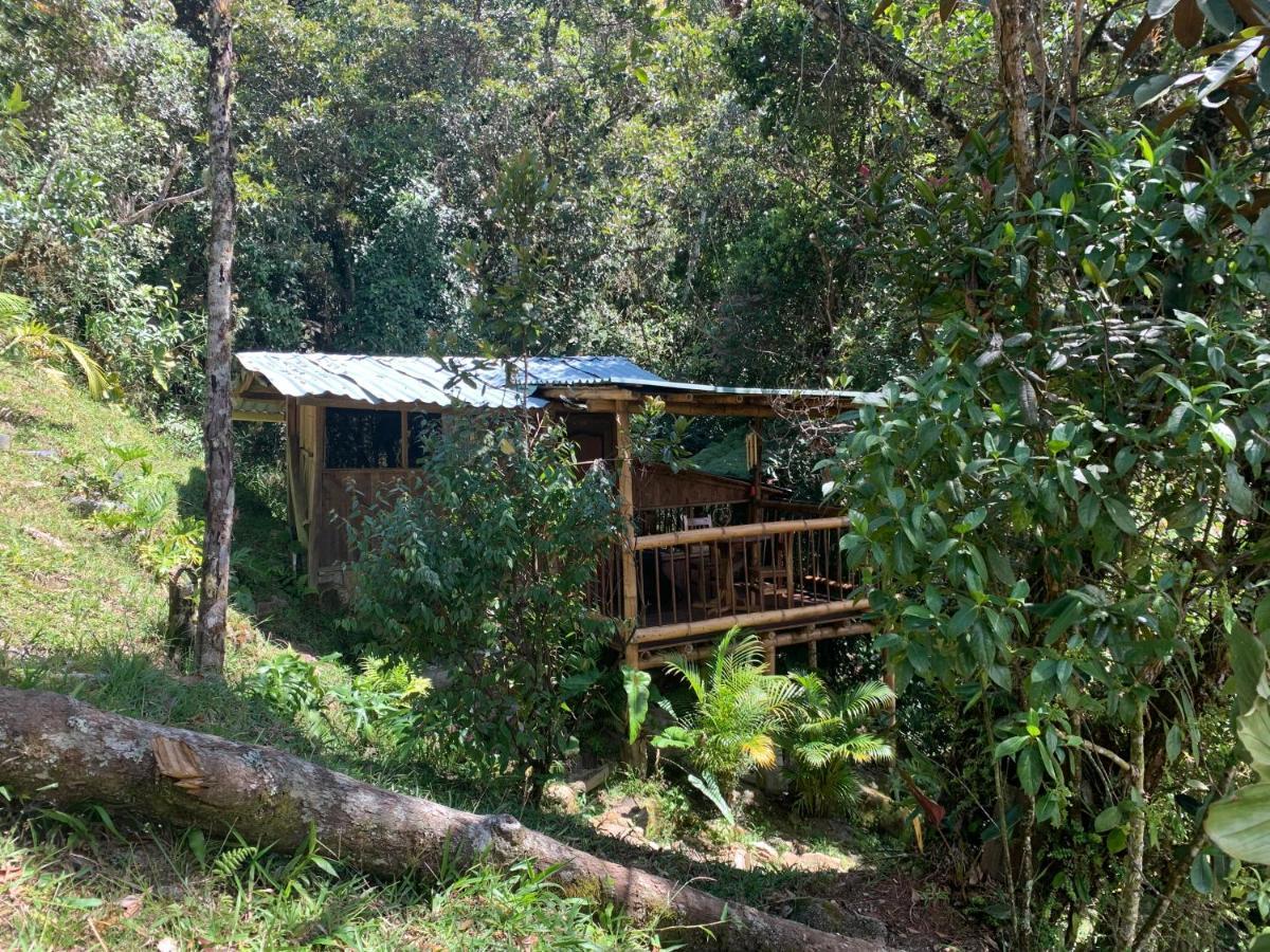La Casa De Loto Retreat Guatapé Екстериор снимка